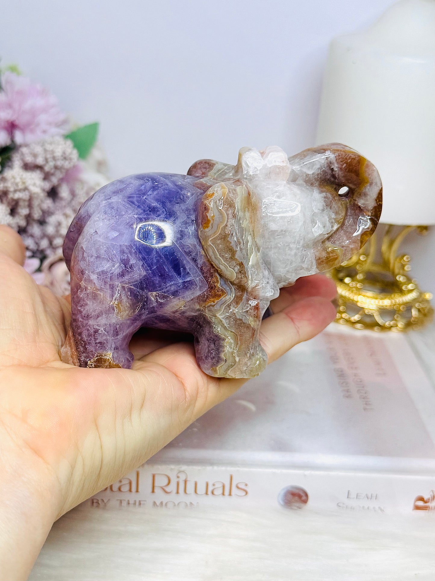 Amethyst X Mexican Lace Agate Elephant 11cm 408g
