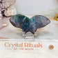 Ocean Jasper Butterfly 8.5cm