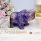 Amethyst X Mexican Lace Agate Elephant 11cm 410g