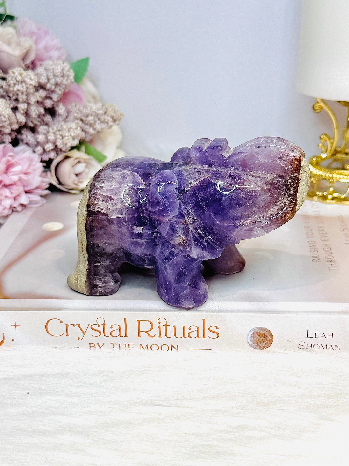 Amethyst X Mexican Lace Agate Elephant 11cm 410g