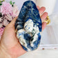 Brings Calmness To The Mind ~ Awesome Large Chunky Sodalite Scorpion Carving 15cm