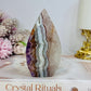 Crazy Lace Amethyst Flame 10cm