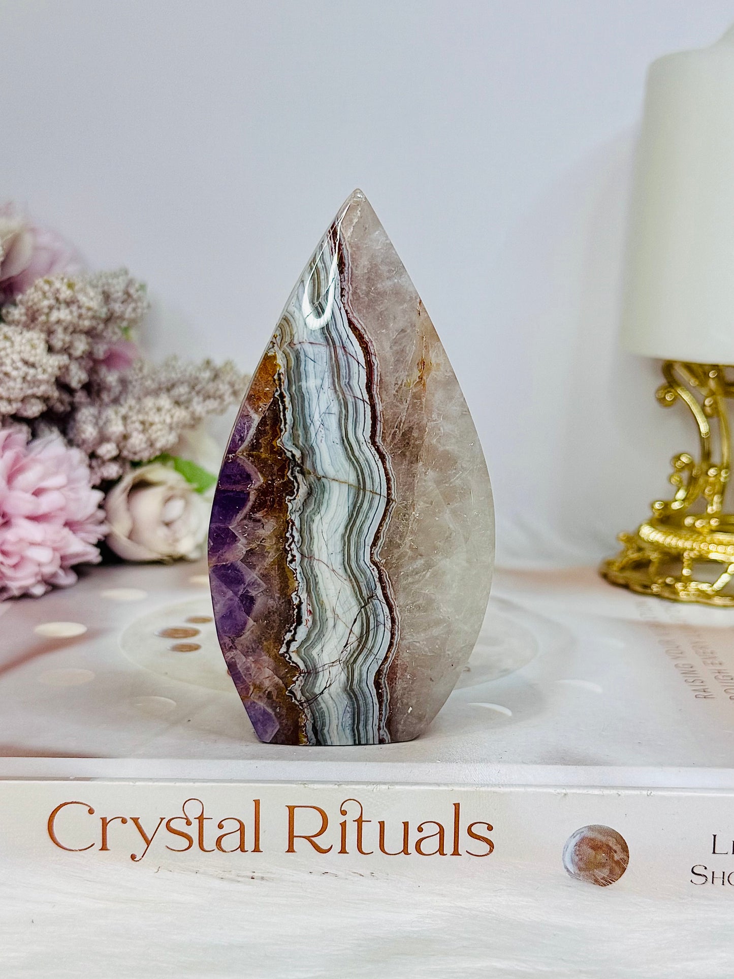 Crazy Lace Amethyst Flame 10cm