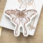 Luna Moth Trinket Dish 14cm