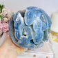 Huge Rare Natural Blue Coral Fossil Sphere 2.16KG