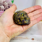 Fruit Jasper Carved Skull 6cm
