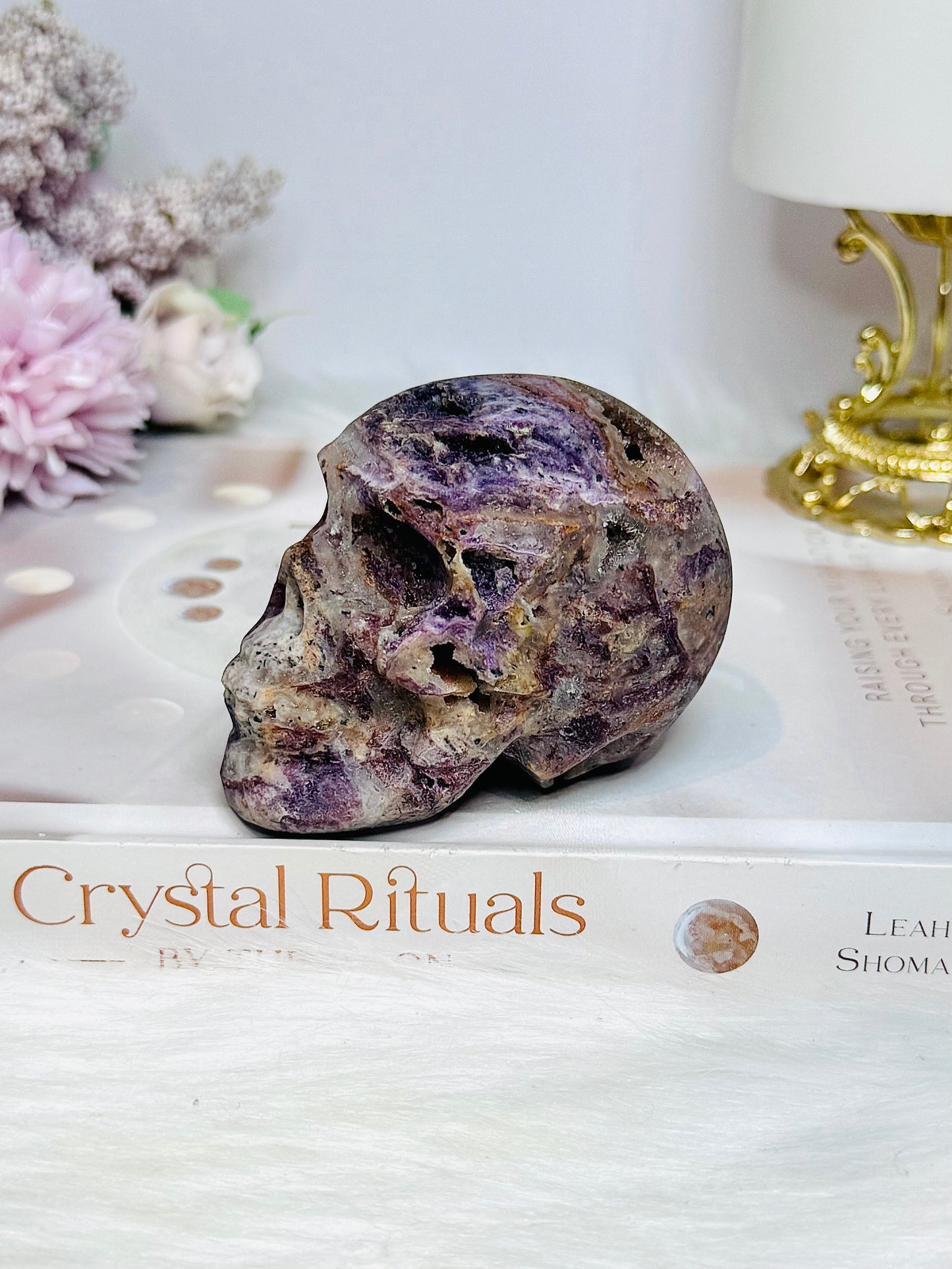 Root Fluorite Druzy Skull 7.5cm 294g