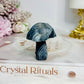 Rare Gobi Agate Carved Mushroom 5cm