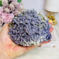 Grape Agate Specimen 555g