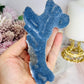Blue Coral Fossil Natural Specimen 13.5cm