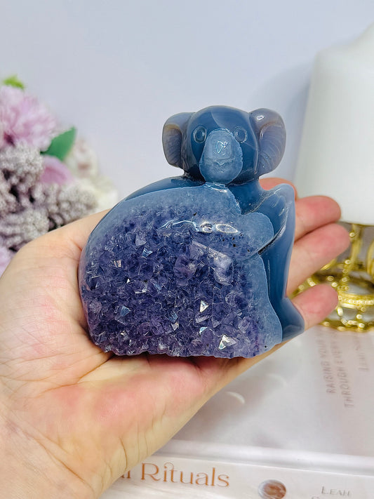High Grade Chunky 10cm Druzy Agate Amethyst Carved Koala Bear