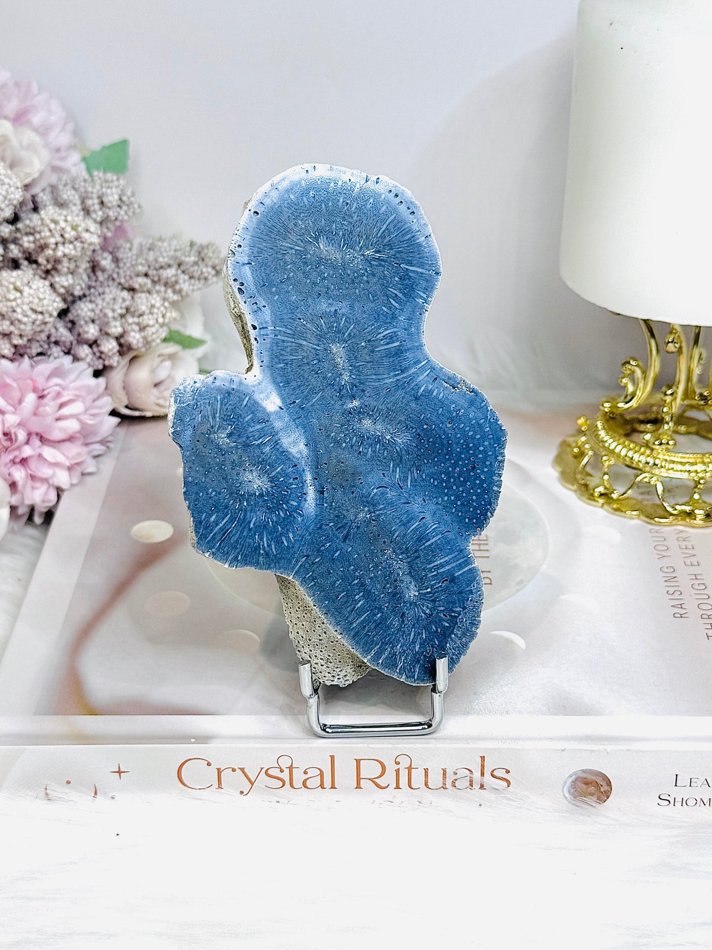 Blue Coral Fossil Specimen Slab on Stand 11.5cm