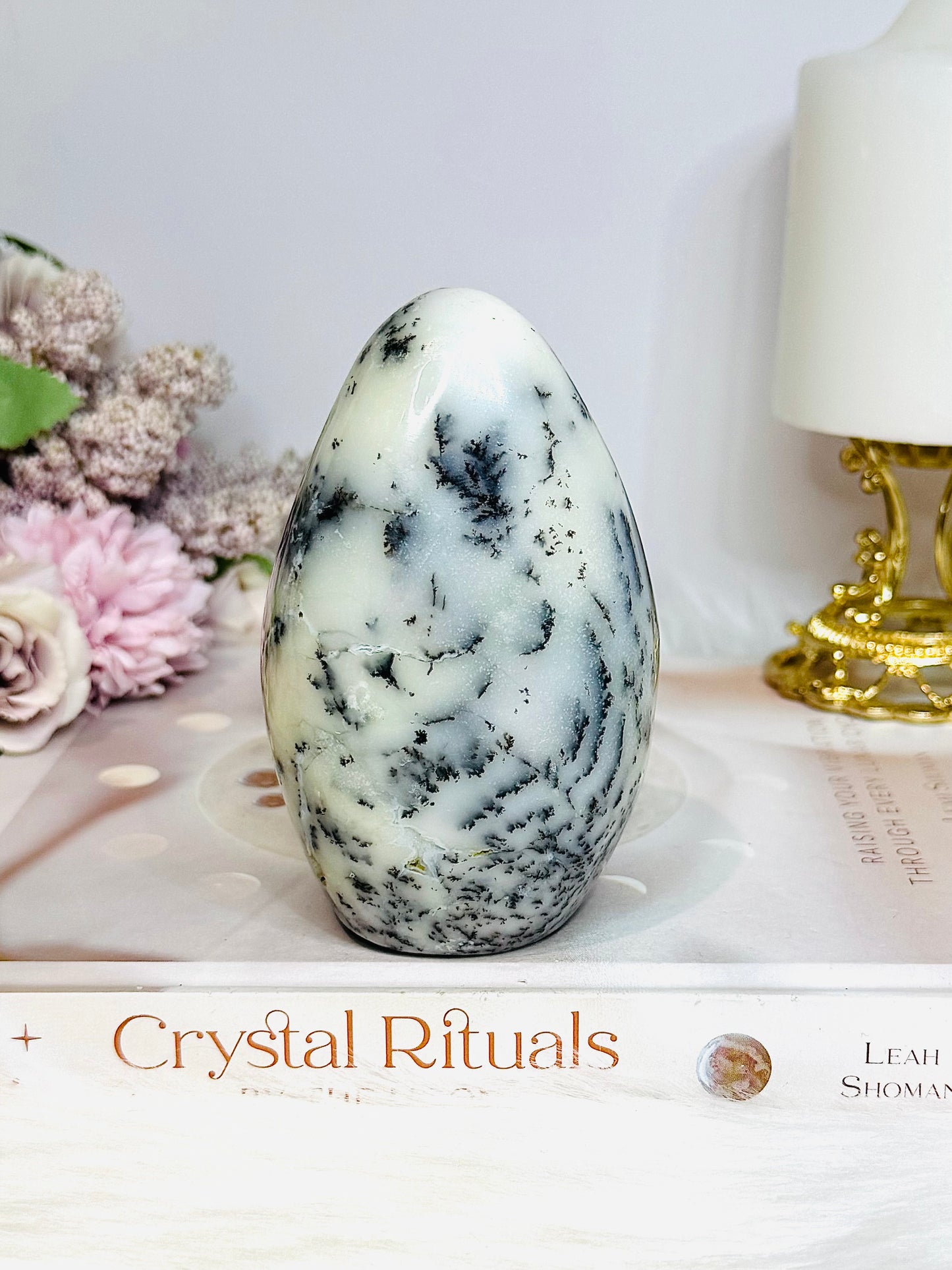 Dentrictic Opal Natural Freeform 10.5cm 487g