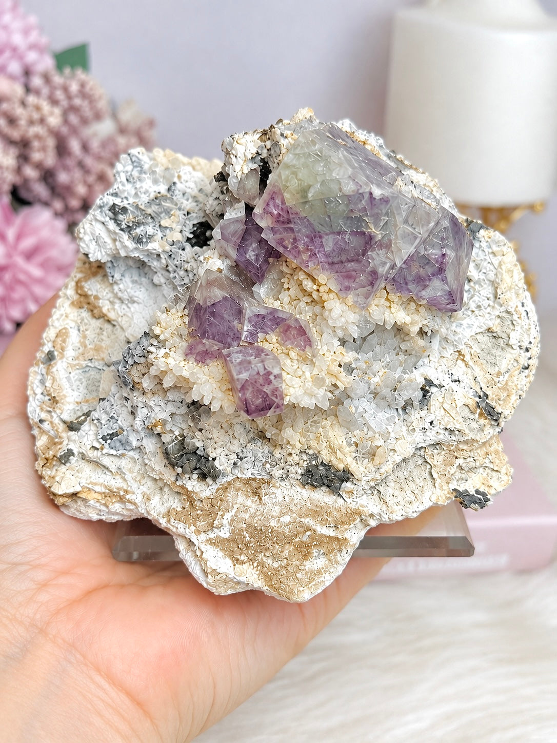✨ A Collectors Piece ✨ Natural Cubed Fluorite In Matrix On Glass Stand 703grams