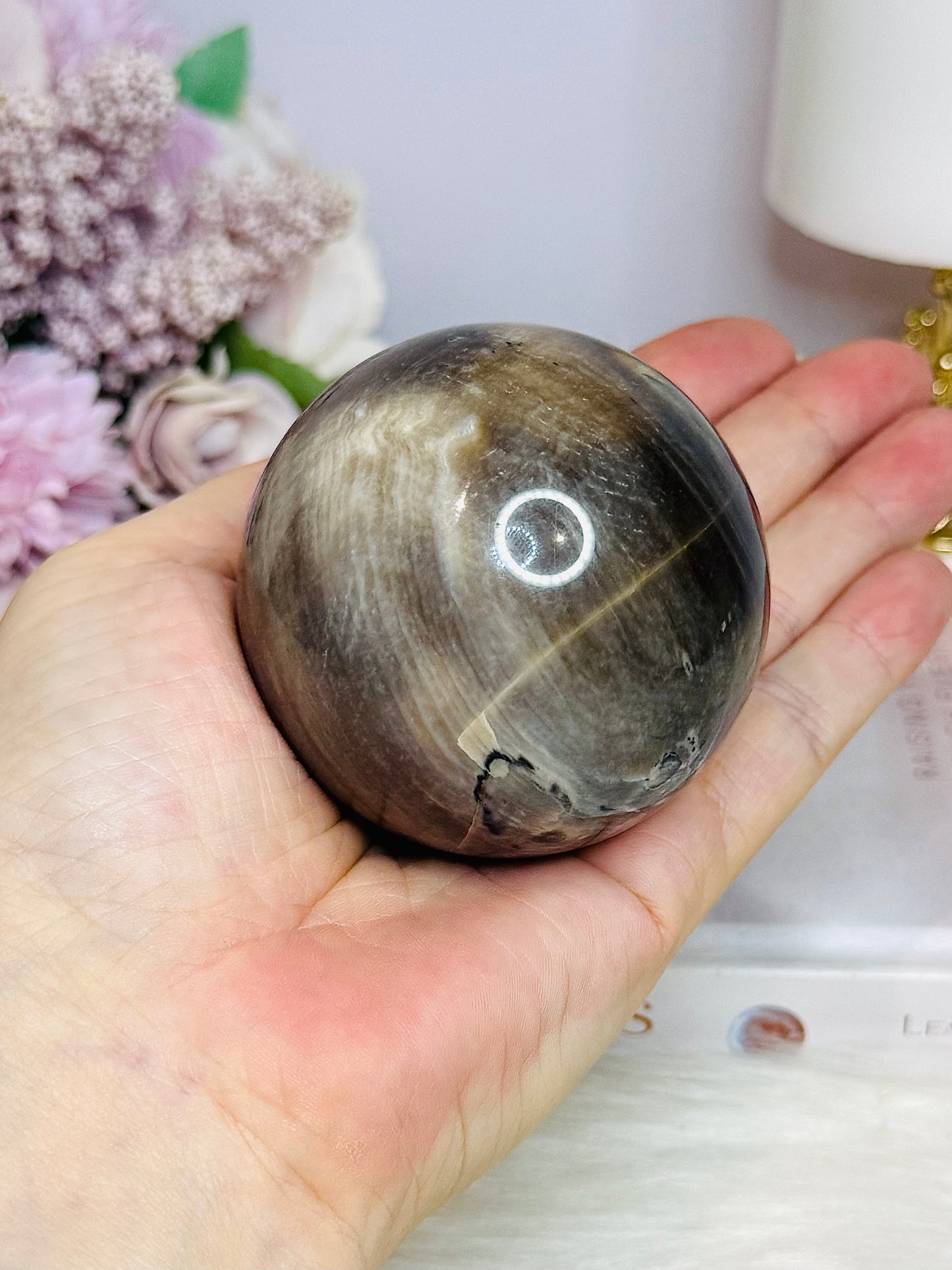 Petrified | Fossilised Wood Sphere on Stand 345g