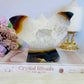 Large Chunky Druzy Agate 11.5cm 584gram Carved Butterfly