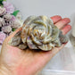 Large High Grade Moonstone Rose With Flash on Gold Stand 18cm