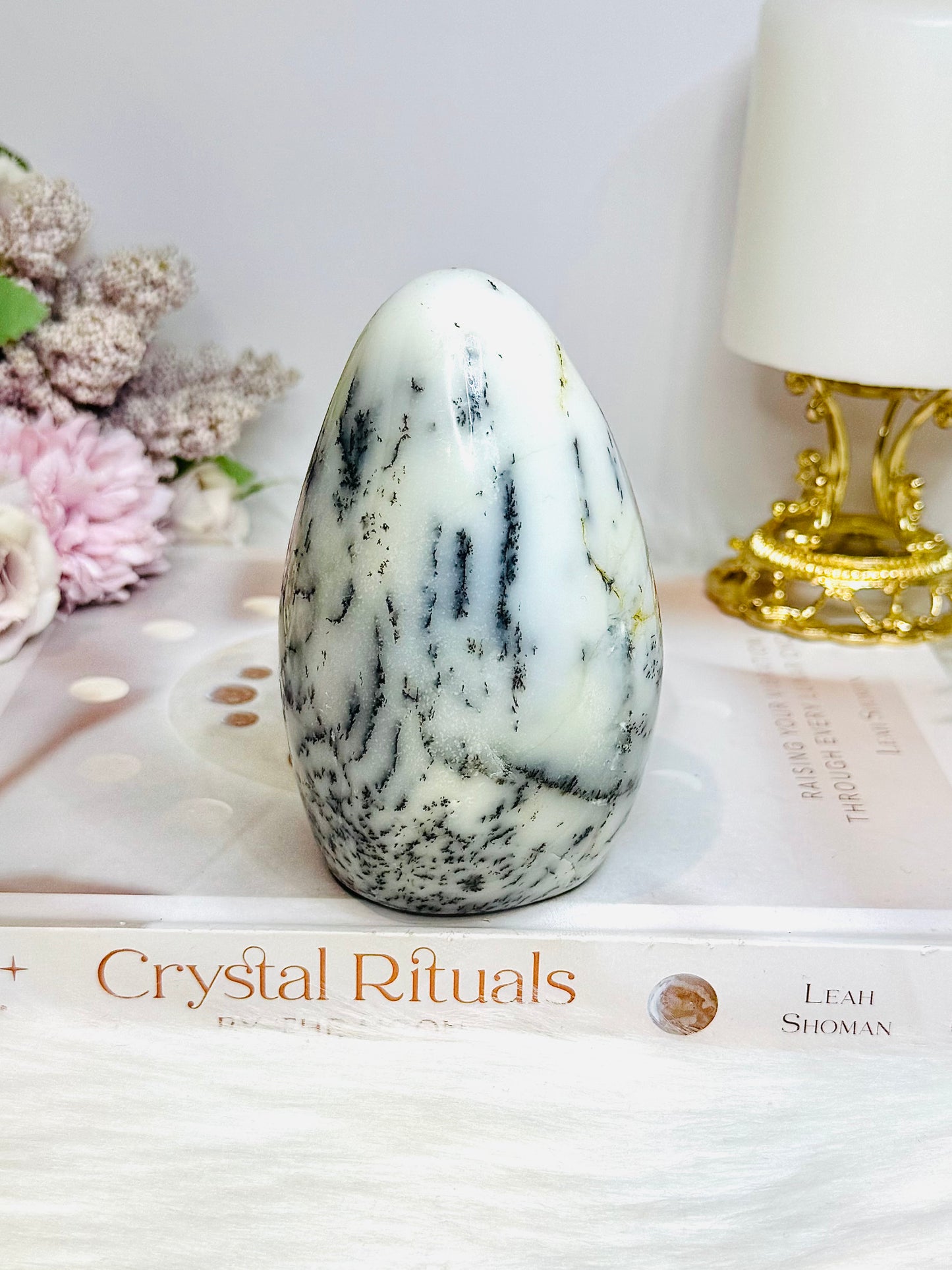 Dentrictic Opal Natural Freeform 10.5cm 487g