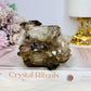 Natural Elestial Alligator Quartz Specimen 397g
