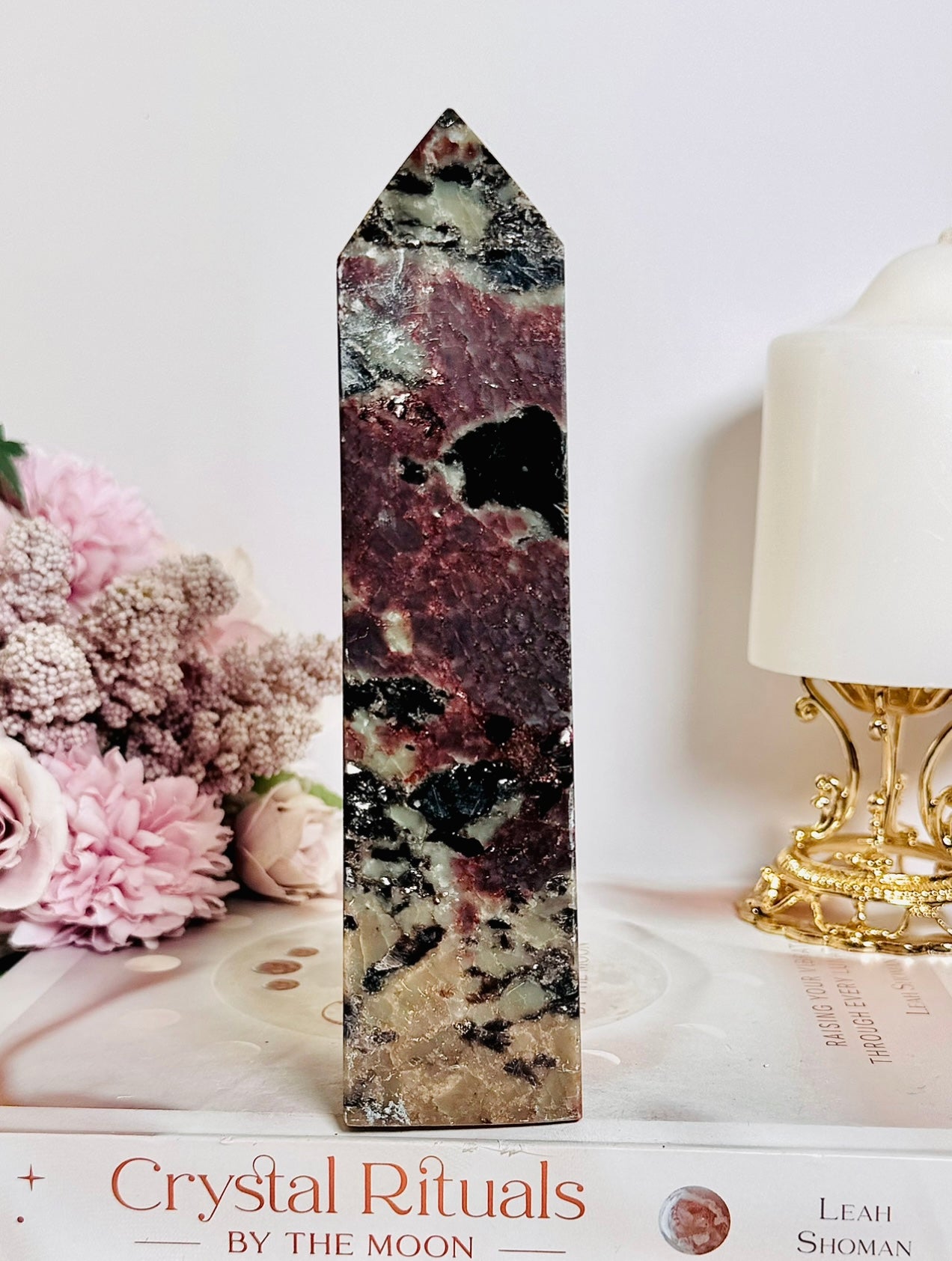 Gorgeous Large 17cm Garnet in Tourmaline Tower | Generator