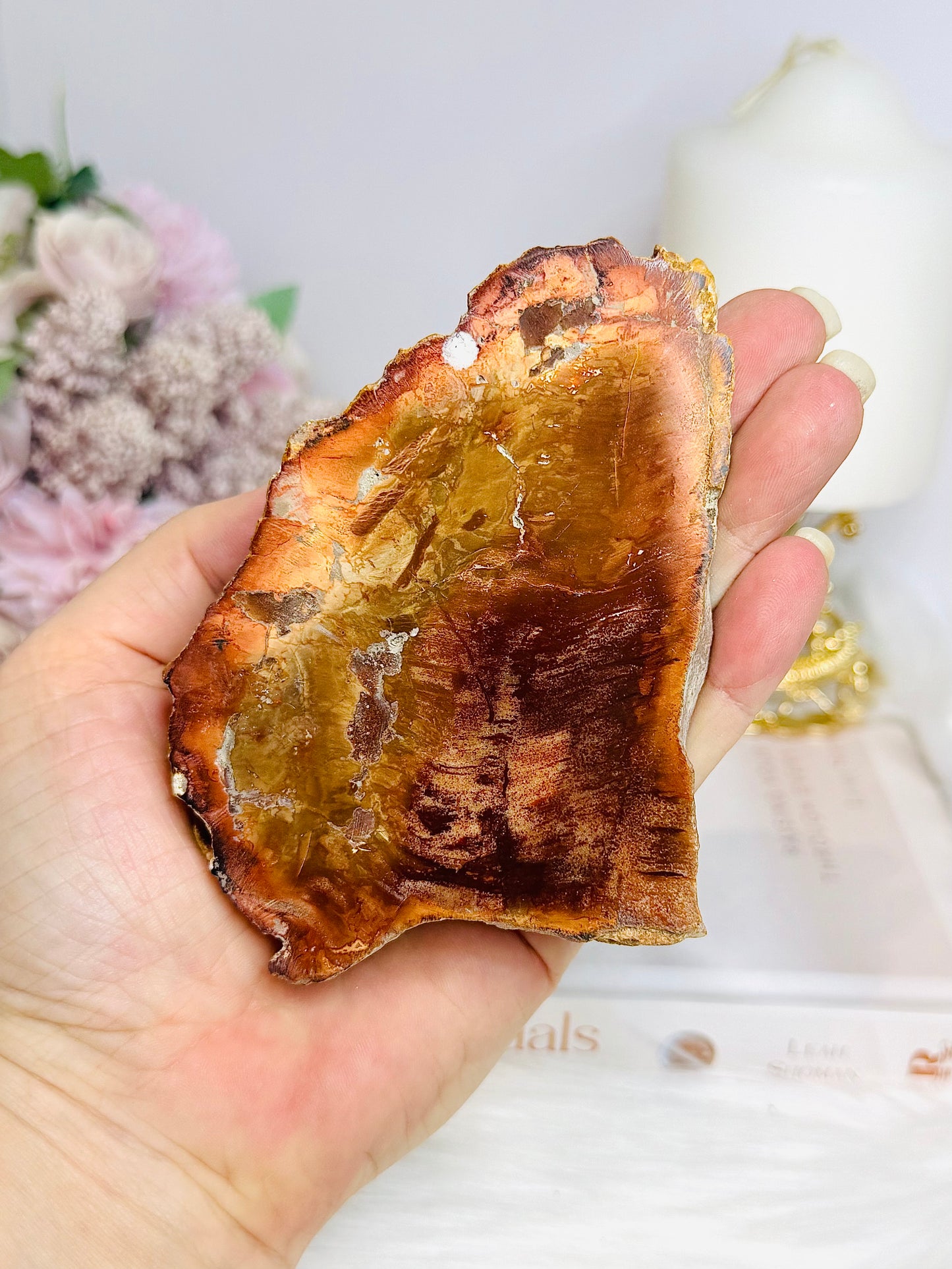 Natural Petrified Wood Slab 10cm 240g