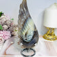 Large Druzy Angel Agate Wing on Stand 17cm