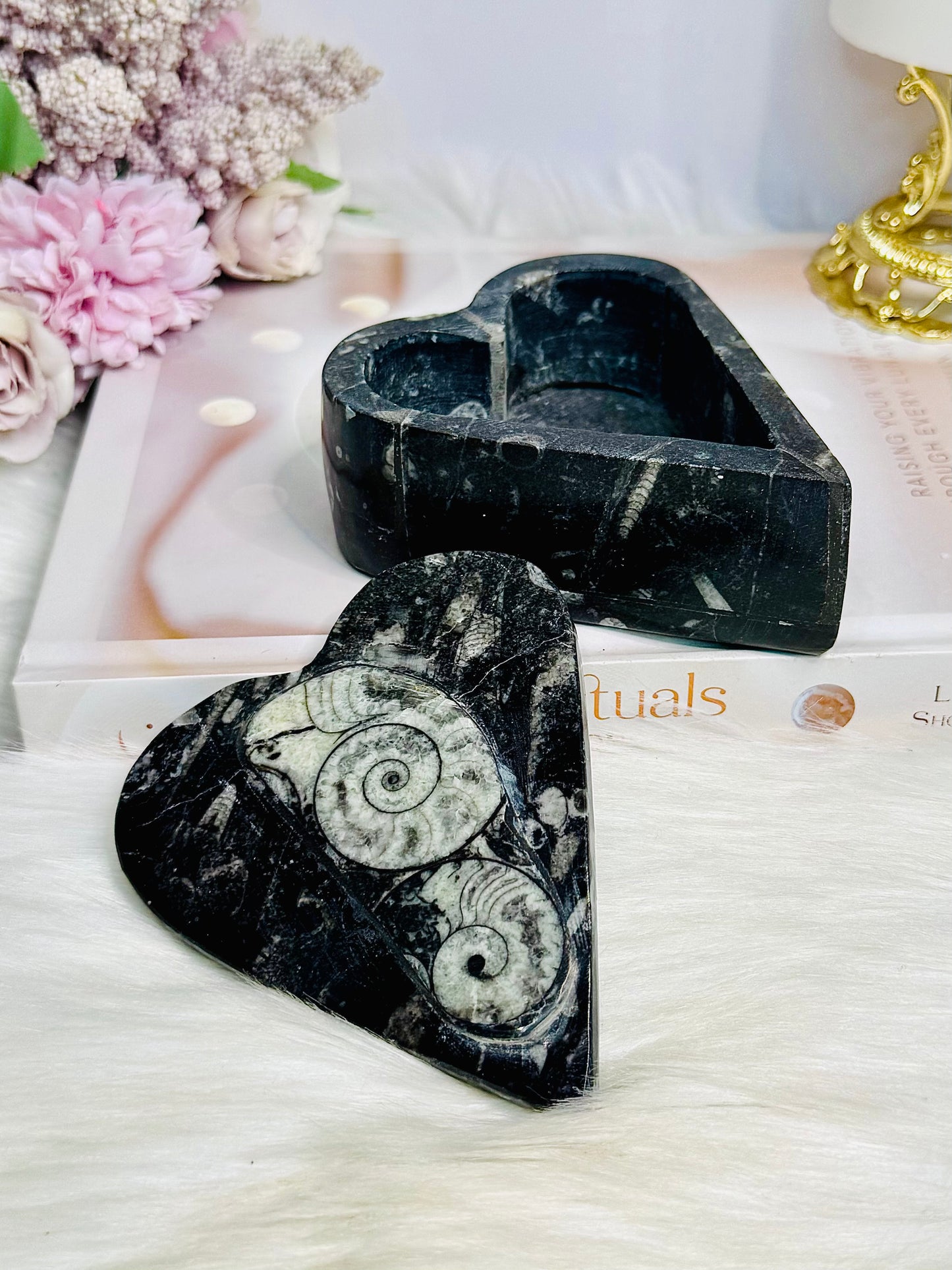 Ancient Fossil Orthoceras Heart Ammonite Jewellery Box 10cm 401g