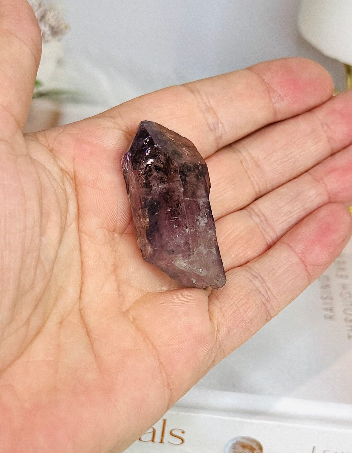 Super Seven Specimen 4.5cm