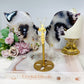 Black Flower Agate Butterfly Wings on Stand 15cm