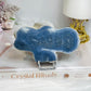 Blue Coral Fossil Specimen Slab on Stand 11.5cm