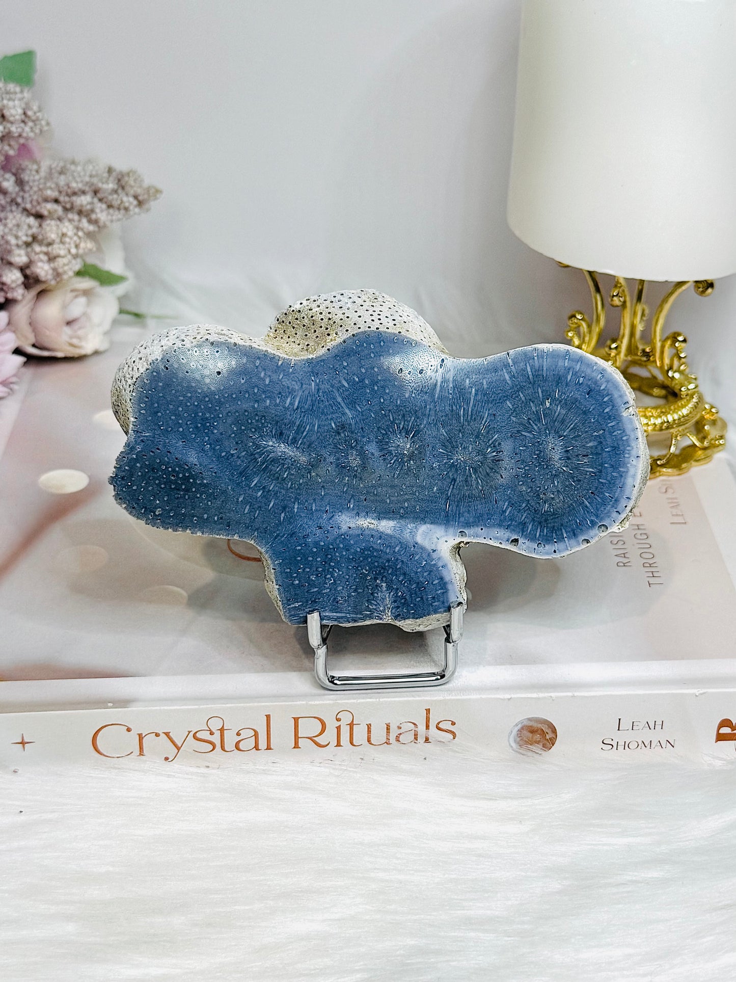 Blue Coral Fossil Specimen Slab on Stand 11.5cm