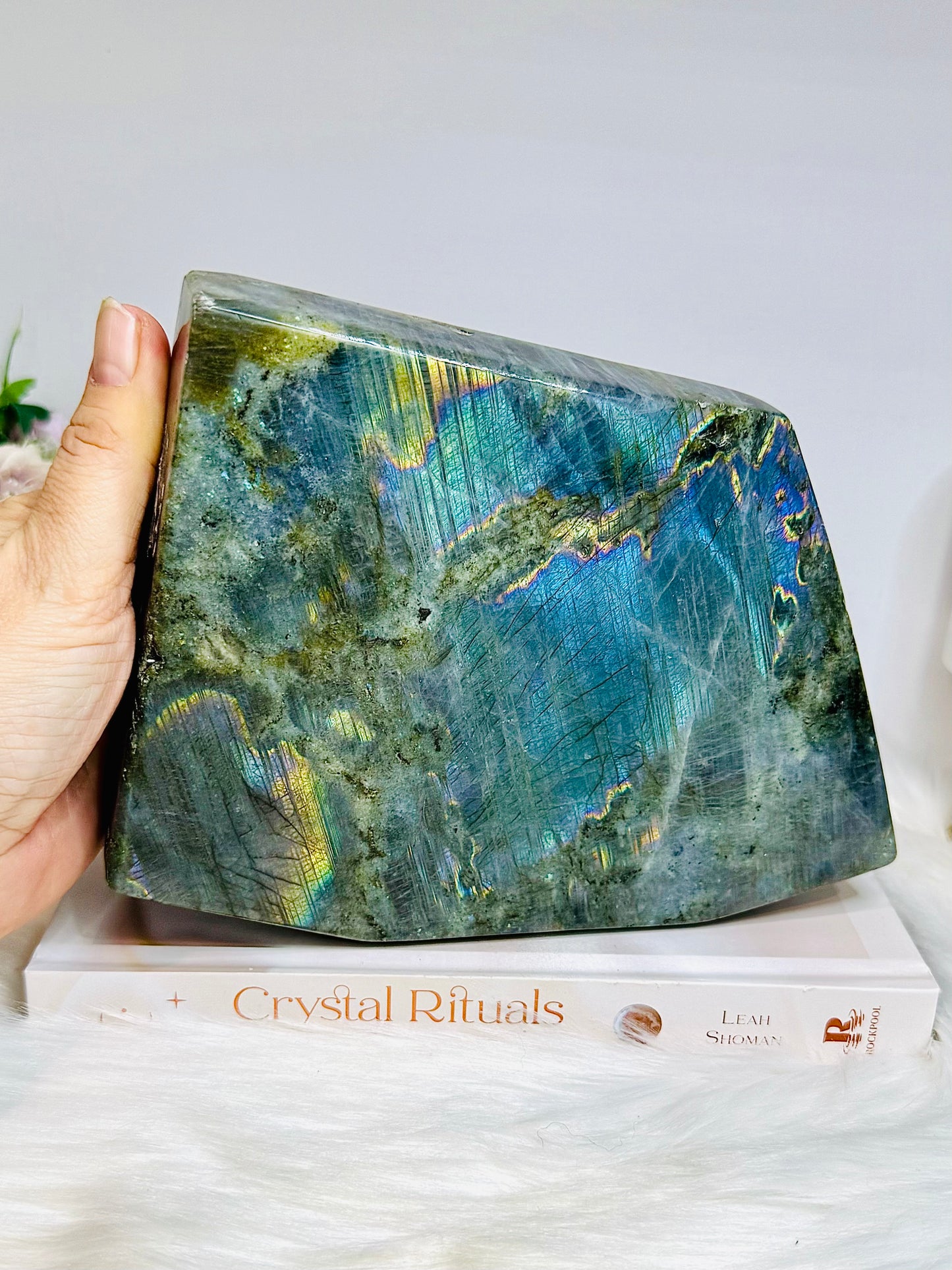 Large Labradorite Freeform Full of Flash 18cm 1.6KG