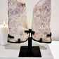 Huge Chunky High Grade Pink Amethyst Angel Wings 1.92KG 25cm with Stunning Crystallisation