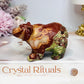 Money Agate Carved Bear 8cm