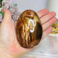 Petrified Wood Chunky Freeform 8.5cm