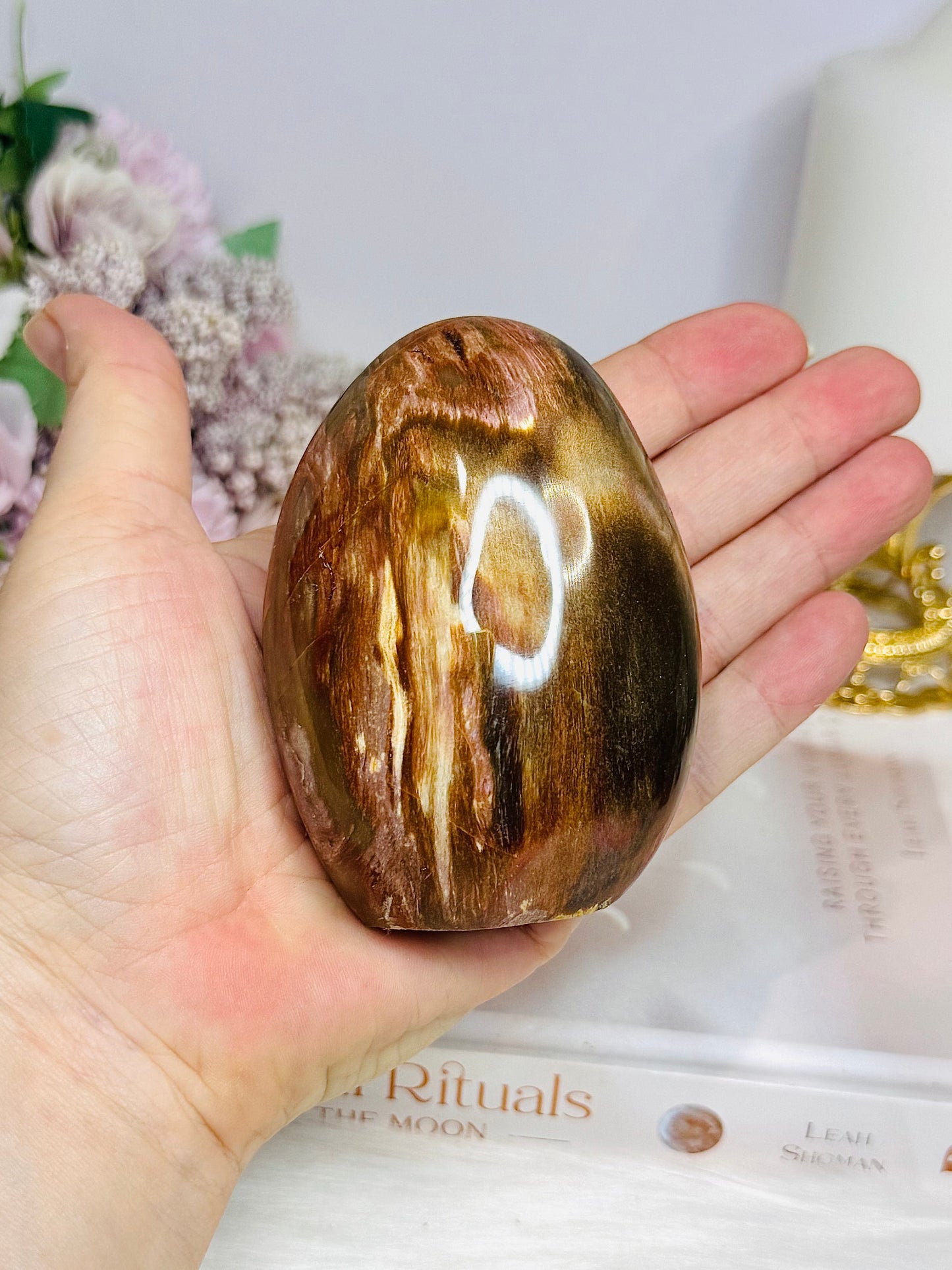 Petrified Wood Chunky Freeform 8.5cm