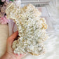 Large Natural Gypsum Selenite Specimen 21cm 578g