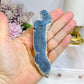 Blue Coral Fossil Specimen 11.5cm