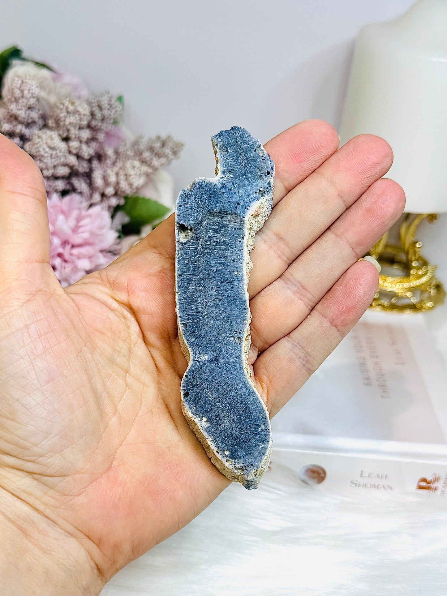 Blue Coral Fossil Specimen 11.5cm