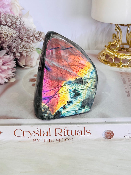 Incredible Colourful Flash Natural Labradorite Polished Freeform 375grams 10cm