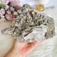 Sensational Natural Large 1.67KG Quartz Cluster Specimen