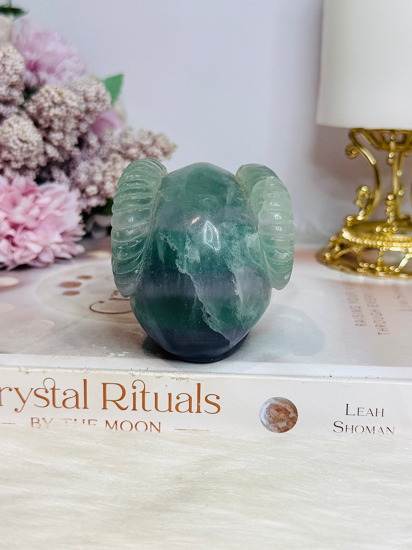 Fluorite Skull with Ram Horns 7.5cm 415g