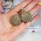 Set of 2 Natural Desert | Gypsum Rose Selenite Specimen
