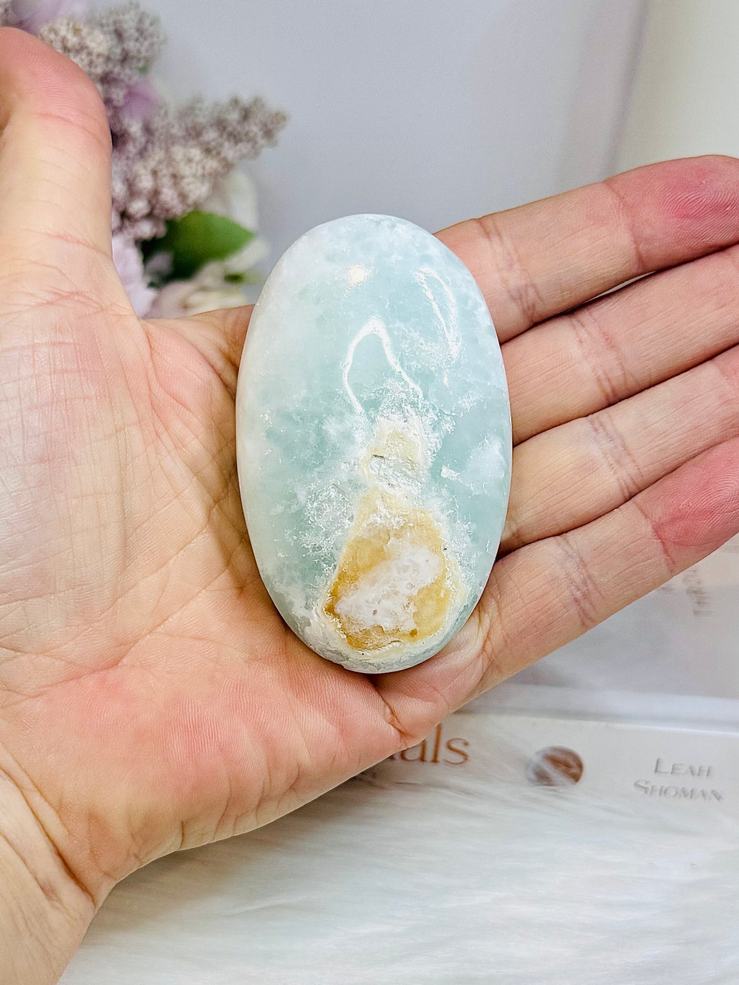 Large Caribbean Calcite Palm Stone