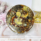 Natural Ammonite Fossil Shell Plate on Stand 12.5cm