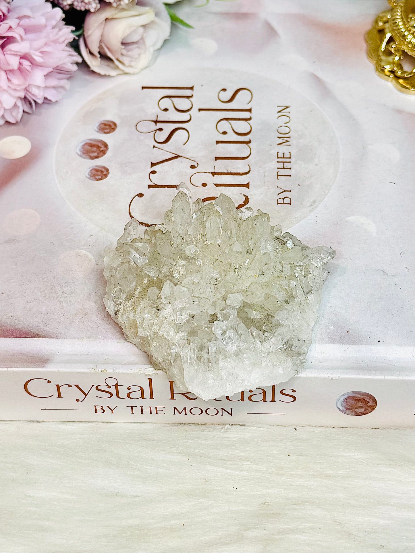 Natural Chrysanthemum Specimen 7cm