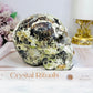Large Money Agate Druzy Skull 751g
