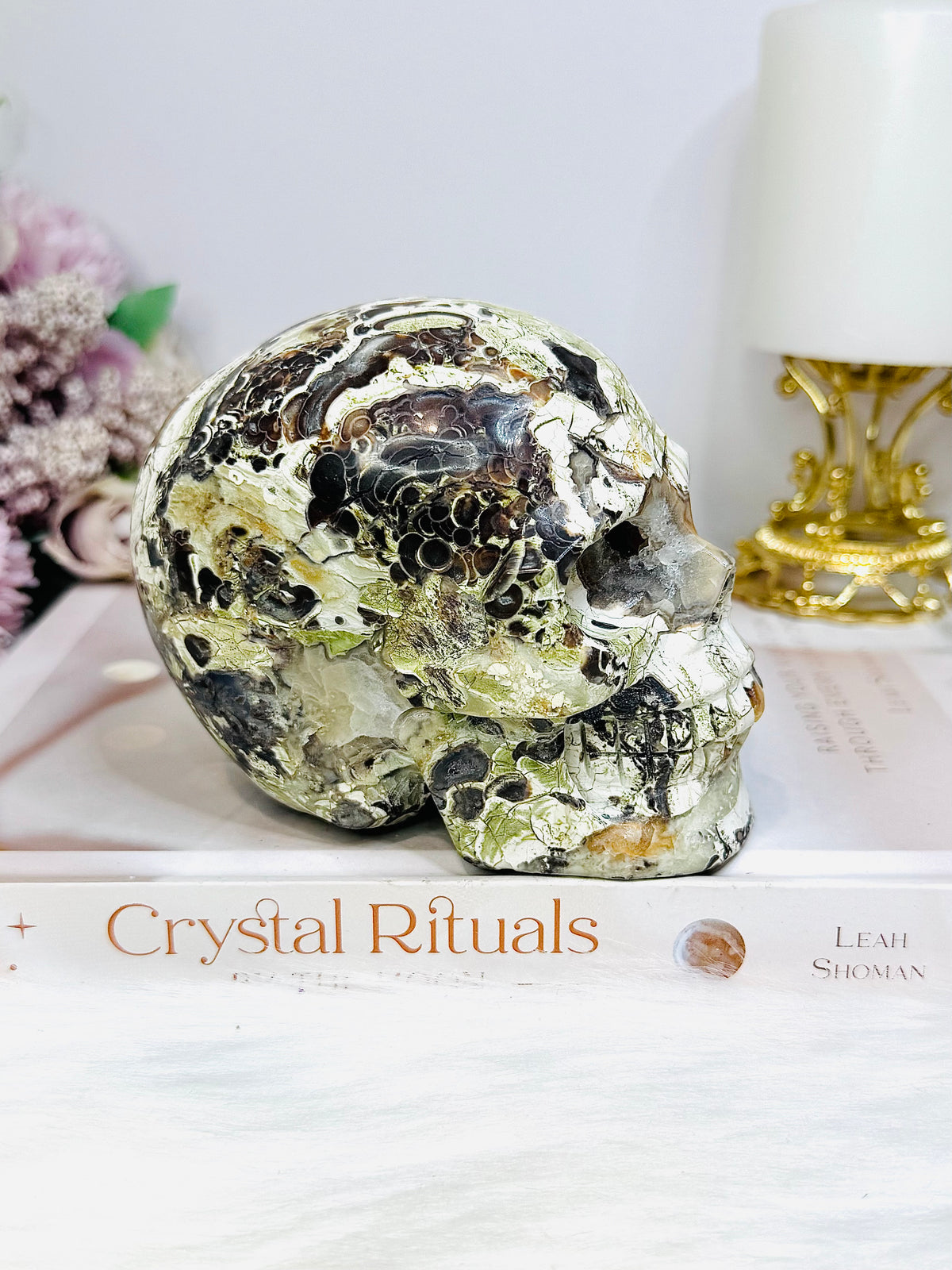 Large Money Agate Druzy Skull 751g