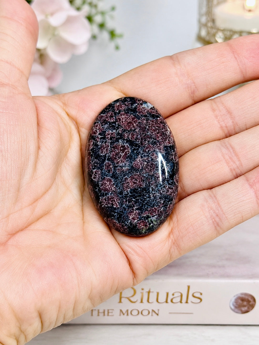 Garnet In Astrophyllite Palm Stone
