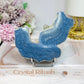 Blue Coral Fossil Specimen Slab on Stand 11.5cm